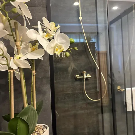 Wellness Апартаменты *